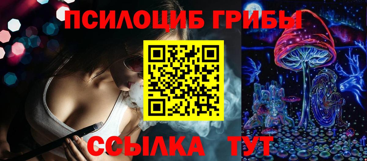 Урай  Галлюциногенные грибы Psilocybine cubensis  Вход с VPN 